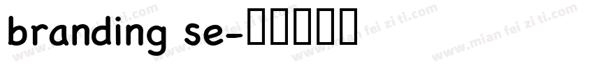 branding se字体转换